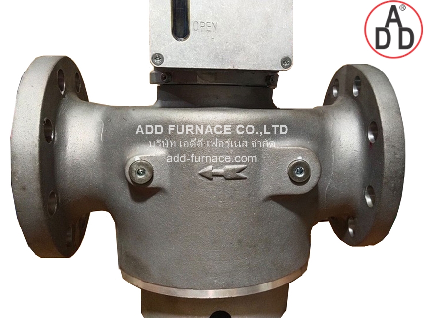 CKD HK1E-80J-ESZZ With KROMSCHRODER AVK P9F/B (6) 